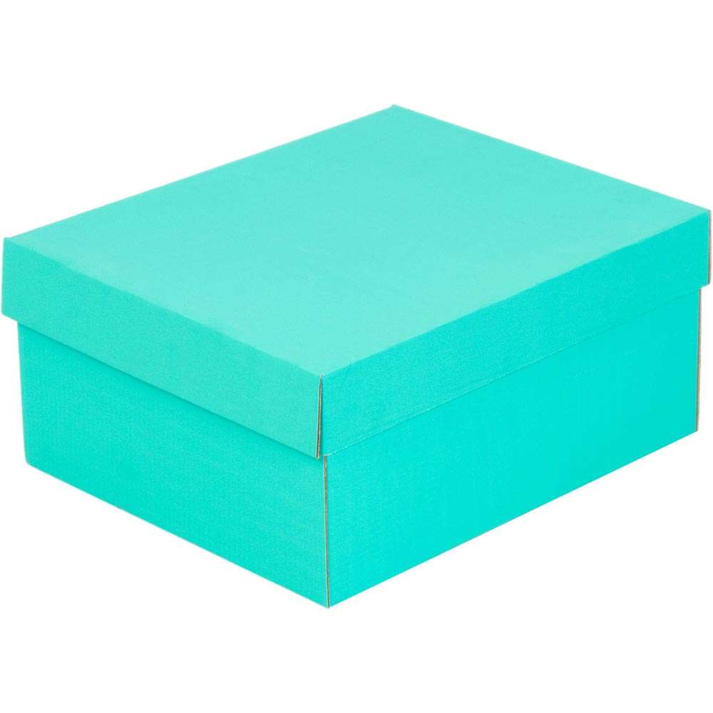Купить коробка с крышкой 250x215x115 Т-11 белый по цене RUB 43.00/шт. руб, от производителя в интернет-магазине Комупак