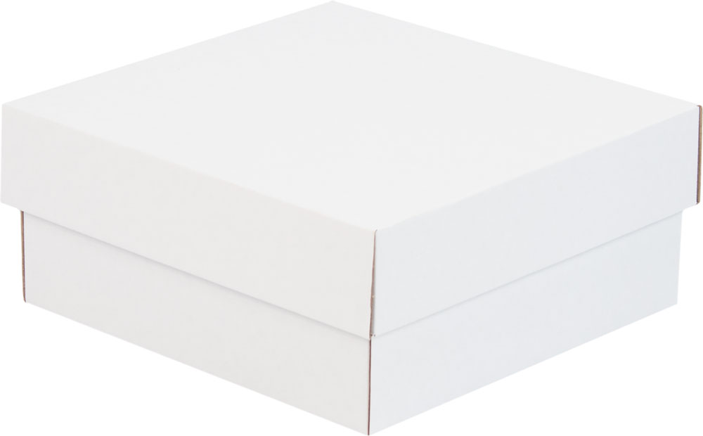 Купить коробка с крышкой 220x220x100 Т-11 белый по цене RUB 40.00/шт. руб, от производителя в интернет-магазине Комупак